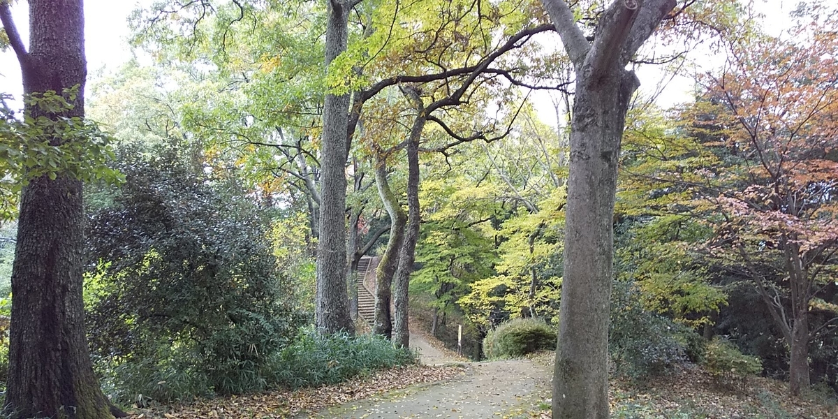 f:id:degarashitan:20201210221841j:plain