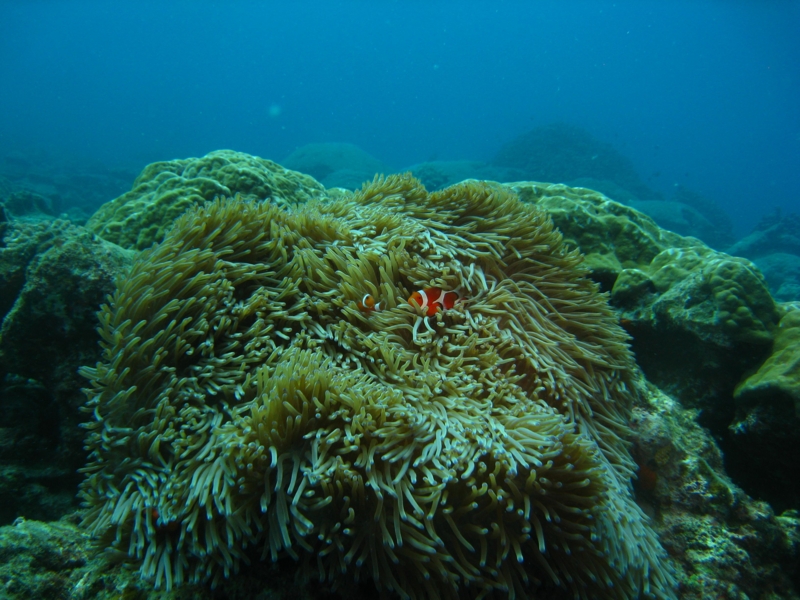 f:id:dego98:20160308122528j:plain f:id:dego98:20160308122528j:plain