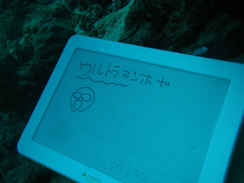 f:id:dego98:20160308122529j:plain f:id:dego98:20160308122529j:plain