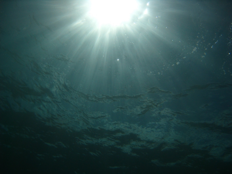 f:id:dego98:20160308122532j:plain f:id:dego98:20160308122532j:plain