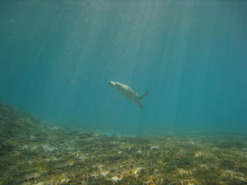 f:id:dego98:20160308122533j:plain f:id:dego98:20160308122533j:plain