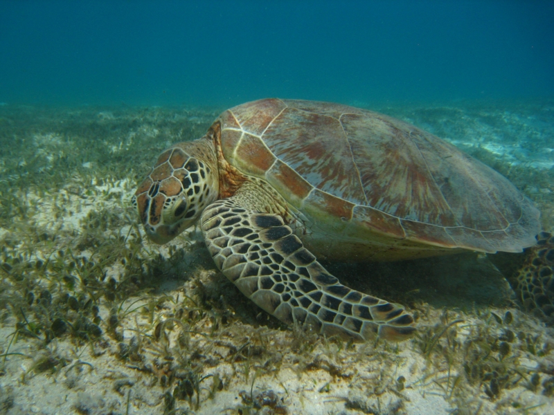 f:id:dego98:20160308122534j:plain f:id:dego98:20160308122534j:plain