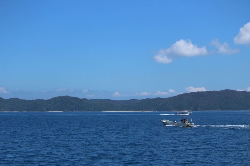 f:id:dego98:20160308122536j:plain f:id:dego98:20160308122536j:plain