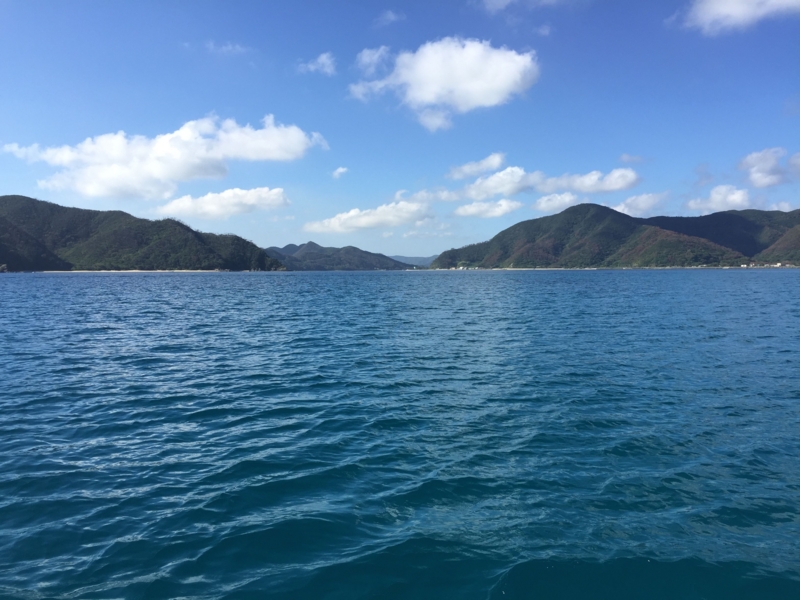 f:id:dego98:20160308122548j:plain f:id:dego98:20160308122548j:plain