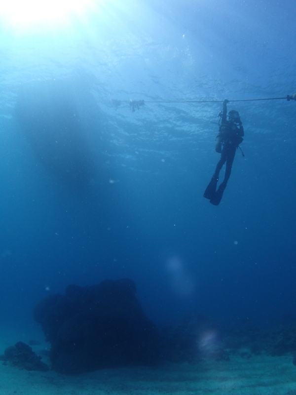 f:id:dego98:20160308122555j:plain f:id:dego98:20160308122555j:plain