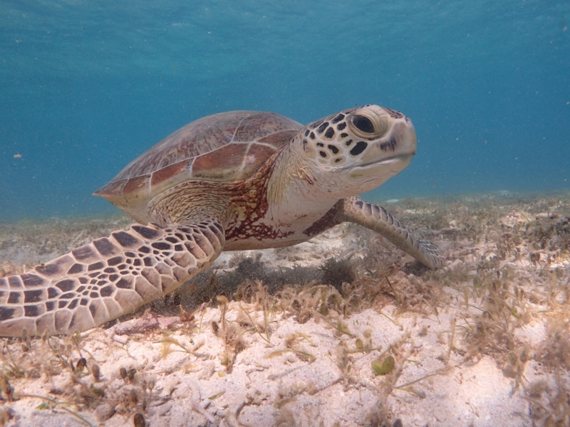 f:id:dego98:20160308122601j:plain f:id:dego98:20160308122601j:plain