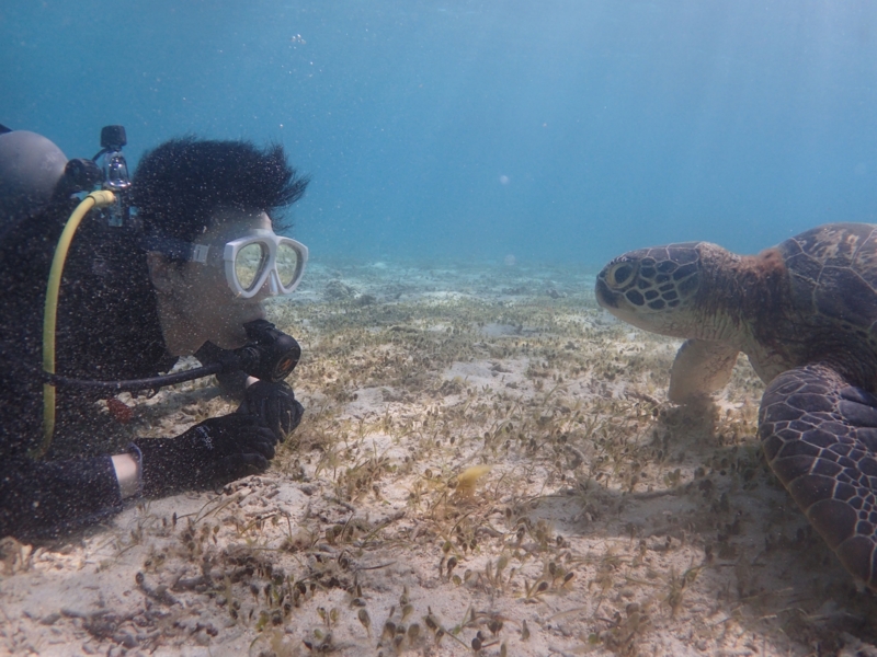 f:id:dego98:20160308122602j:plain f:id:dego98:20160308122602j:plain