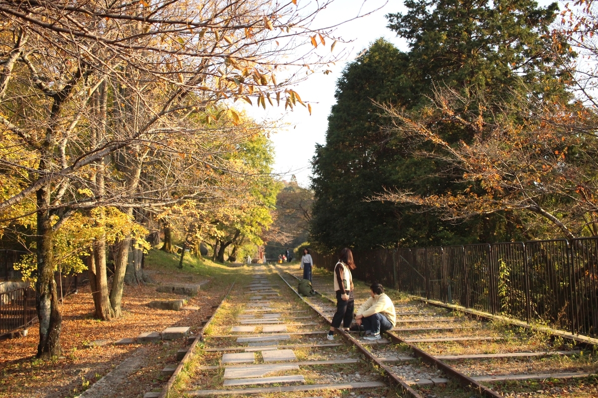 f:id:dego98:20191004103136j:plain f:id:dego98:20191004103136j:plain