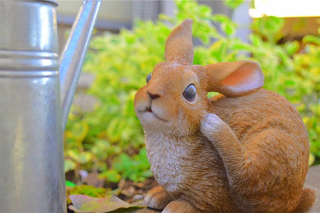 f:id:degu-degu:20230620160439j:image f:id:degu-degu:20230620160439j:image