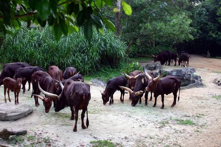 f:id:deguchi:20041221191907:image