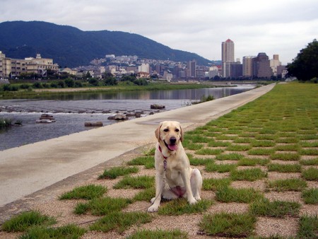 f:id:deguchi:20050831073120j:image