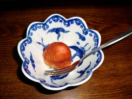 f:id:deguchi:20090101015741j:image