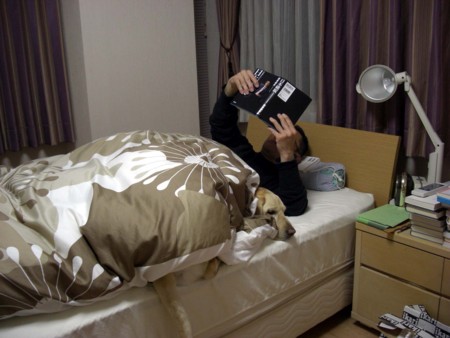f:id:deguchi:20100313185306j:image f:id:deguchi:20100313185306j:image