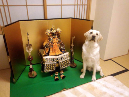 f:id:deguchi:20120427205246j:image