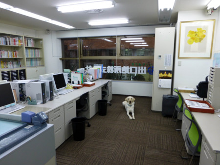 f:id:deguchi:20121222082627j:image