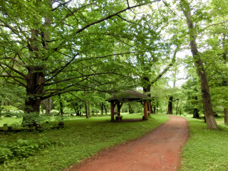 f:id:deguchi:20140617114220j:image