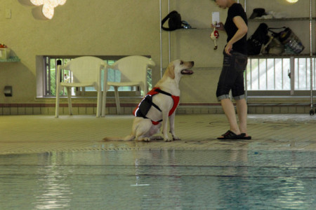 f:id:deguchi:20140924144112j:image