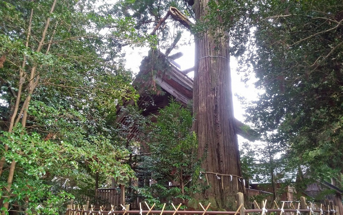 f:id:deguchi:20190329043541j:plain