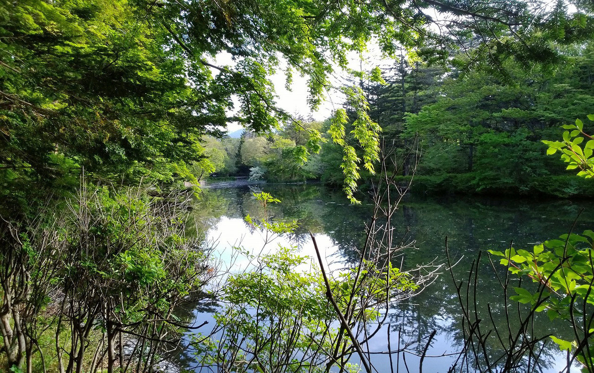 f:id:deguchi:20190523134153j:plain
