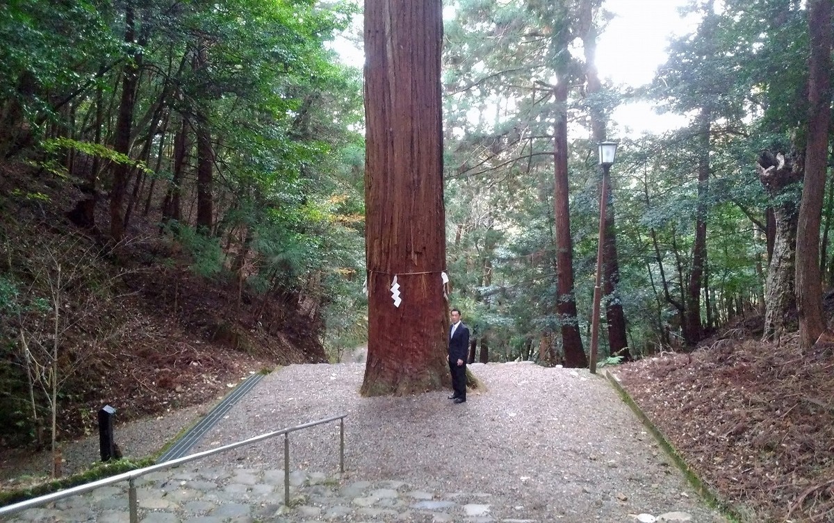 f:id:deguchi:20191121190449j:plain