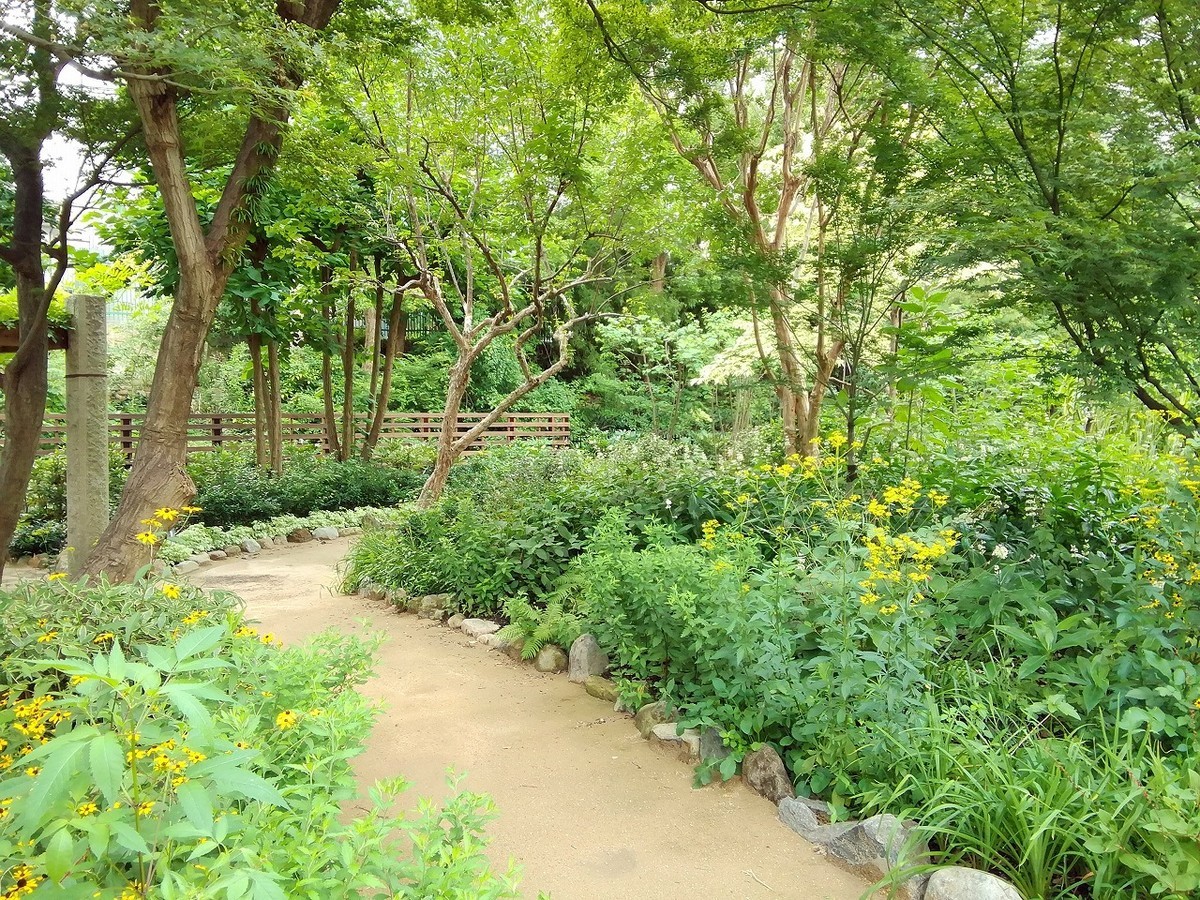 f:id:deguchi:20200731223423j:plain