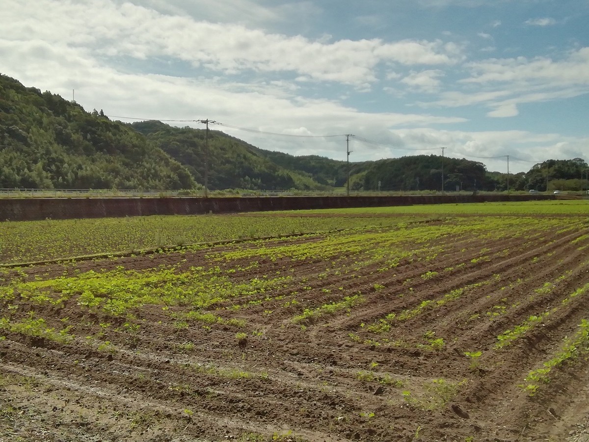 f:id:deguchi:20200813151636j:plain