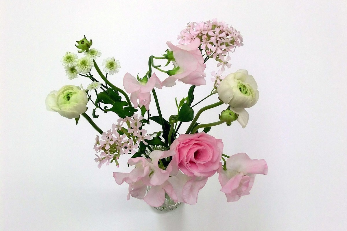 f:id:deguchi:20201017121654j:plain