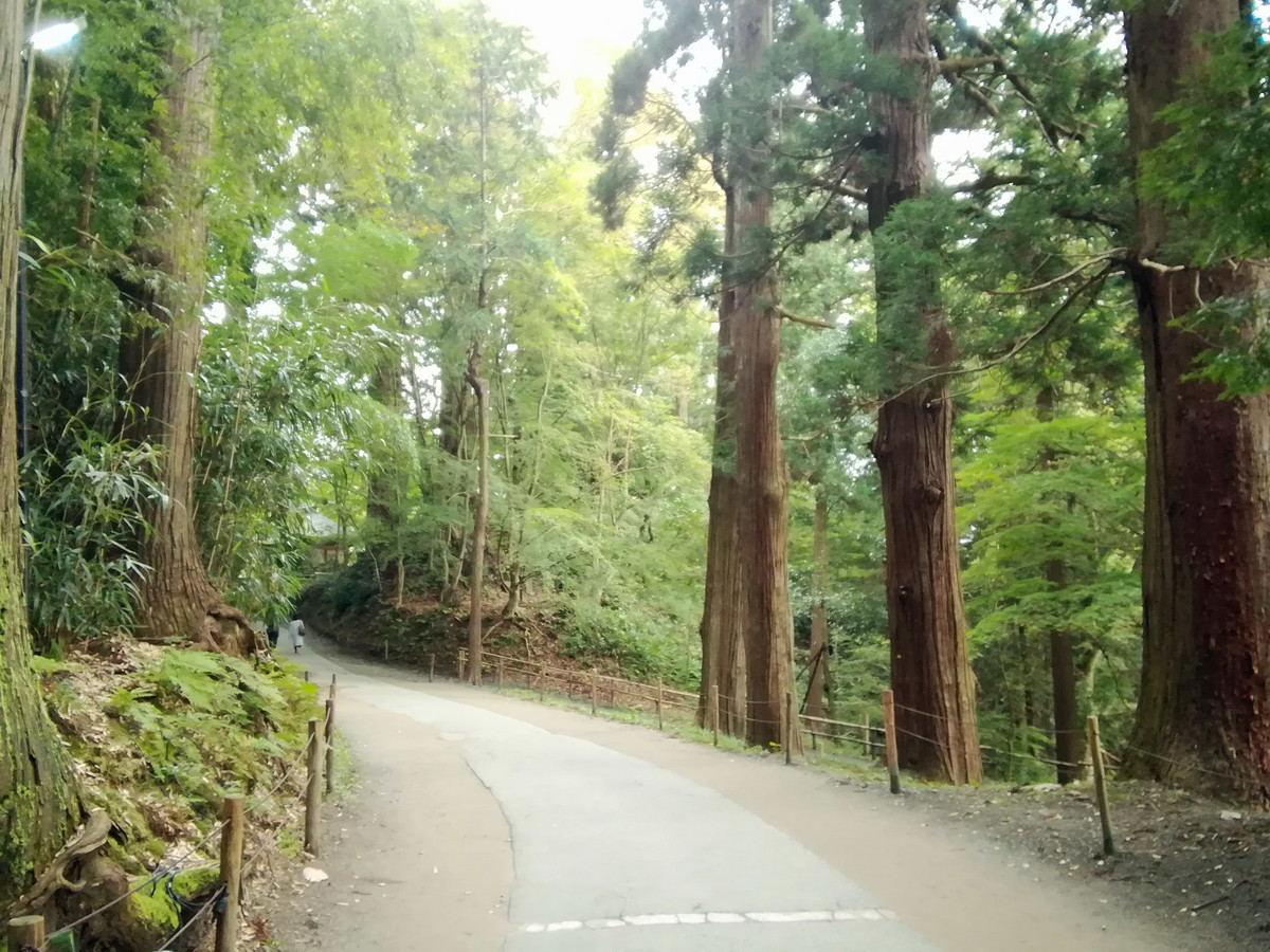 f:id:deguchi:20211023082740j:plain
