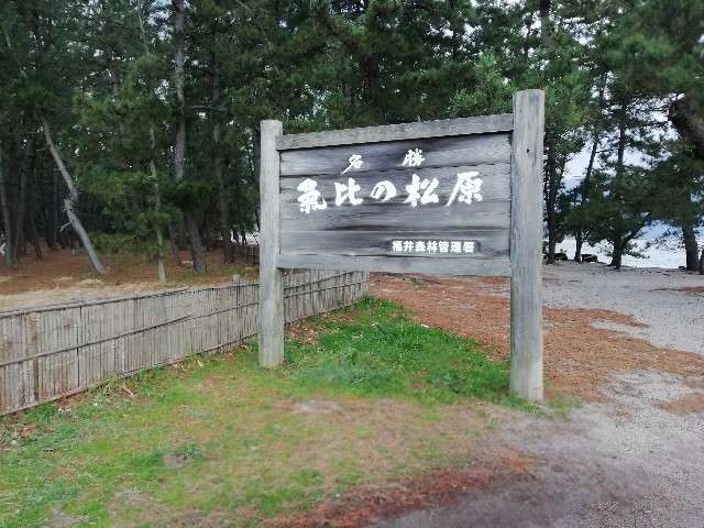 f:id:deguozisa:20200226130944j:image