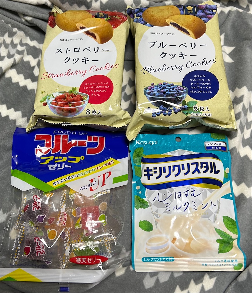 f:id:deigosaku:20230625231247j:image