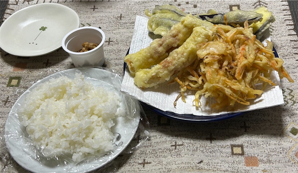 f:id:deigosaku:20240317211714j:image