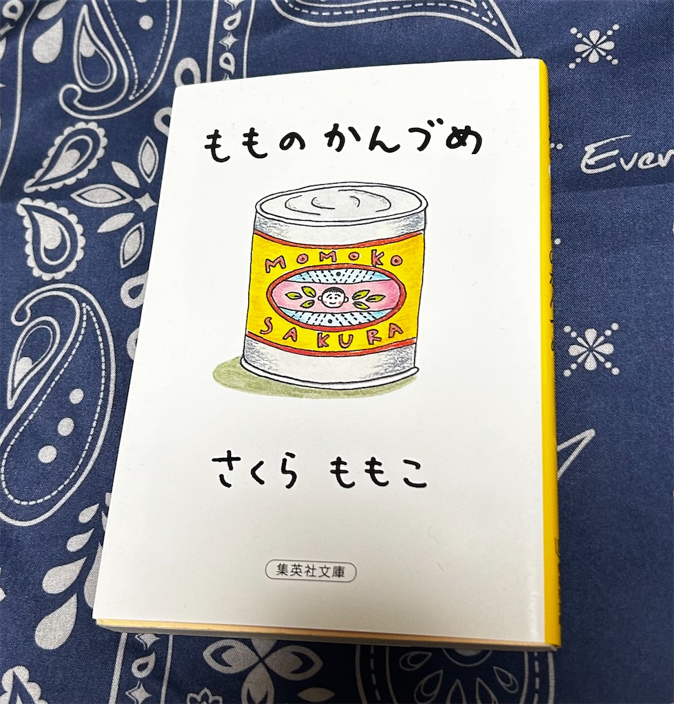f:id:deigosaku:20241201133122j:image