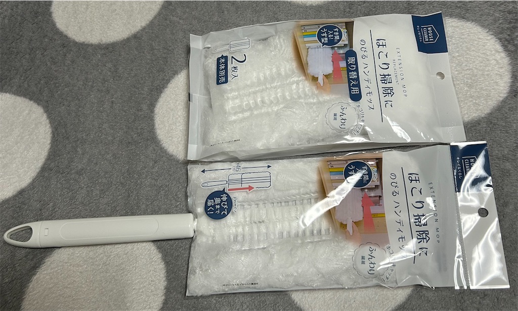 f:id:deigosaku:20260124072719j:image