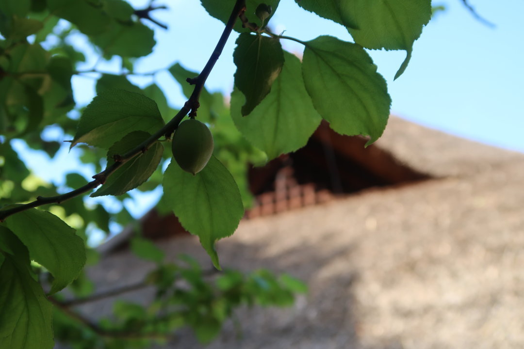 f:id:deis:20170612013937j:plain