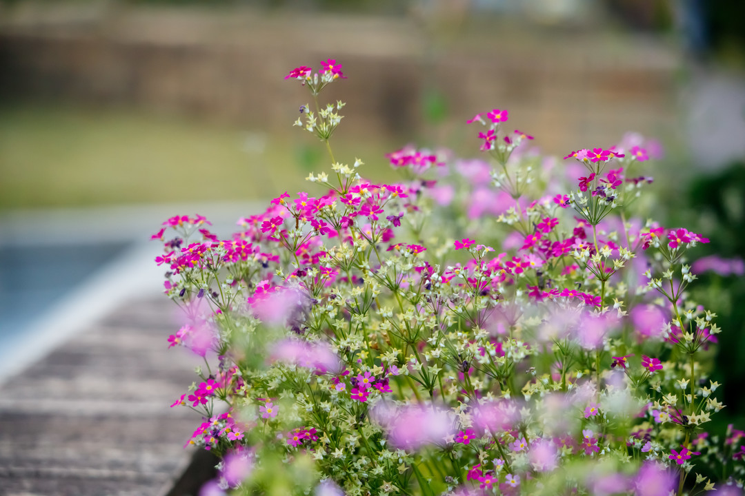 f:id:deis:20200506224610j:plain