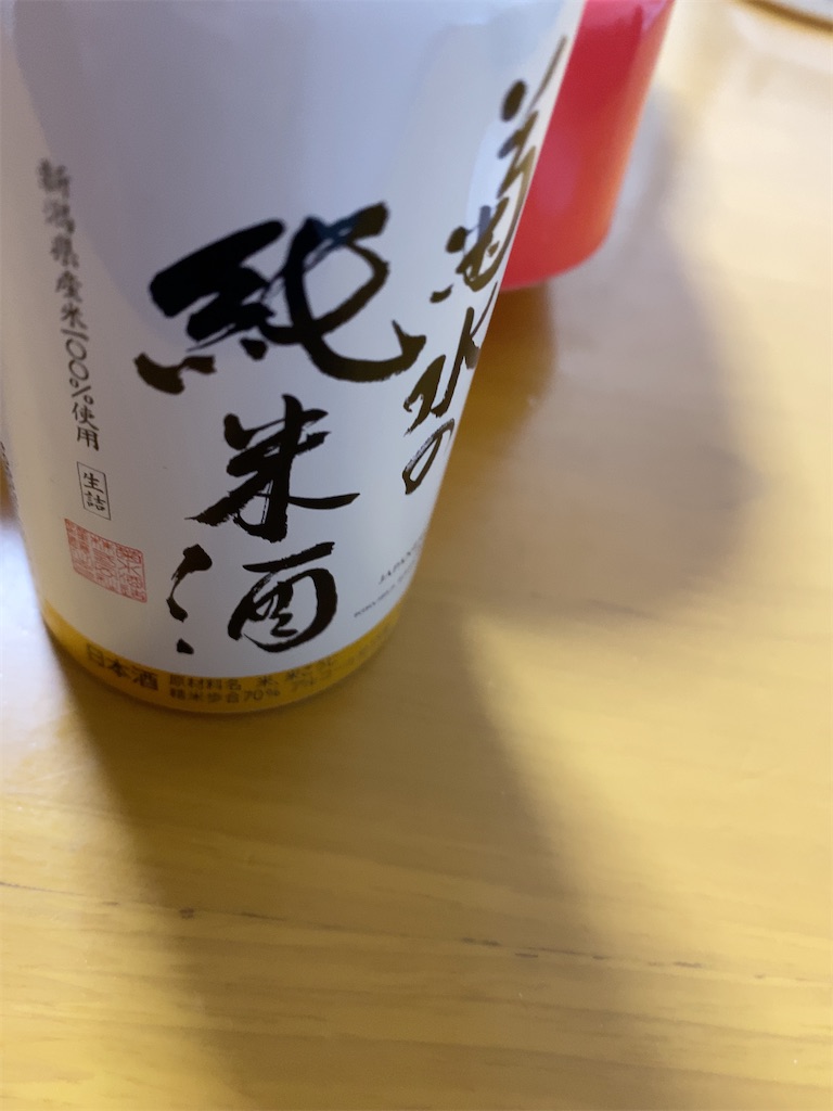 f:id:dejerine:20210309062508j:plain