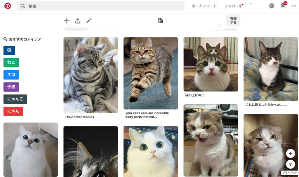 ピンタレスト活用猫画像