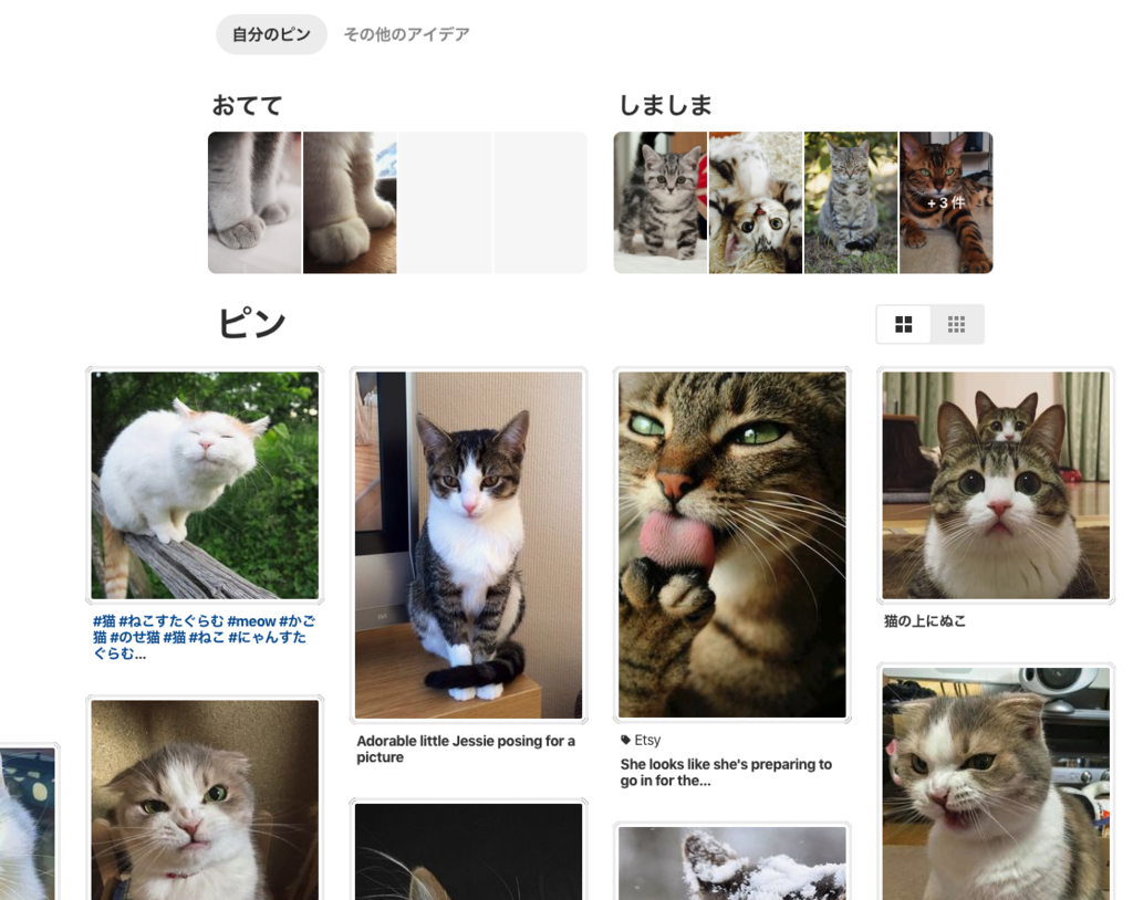 f:id:dejiko-dm:20180912121636p:plain f:id:dejiko-dm:20180912121636p:plain