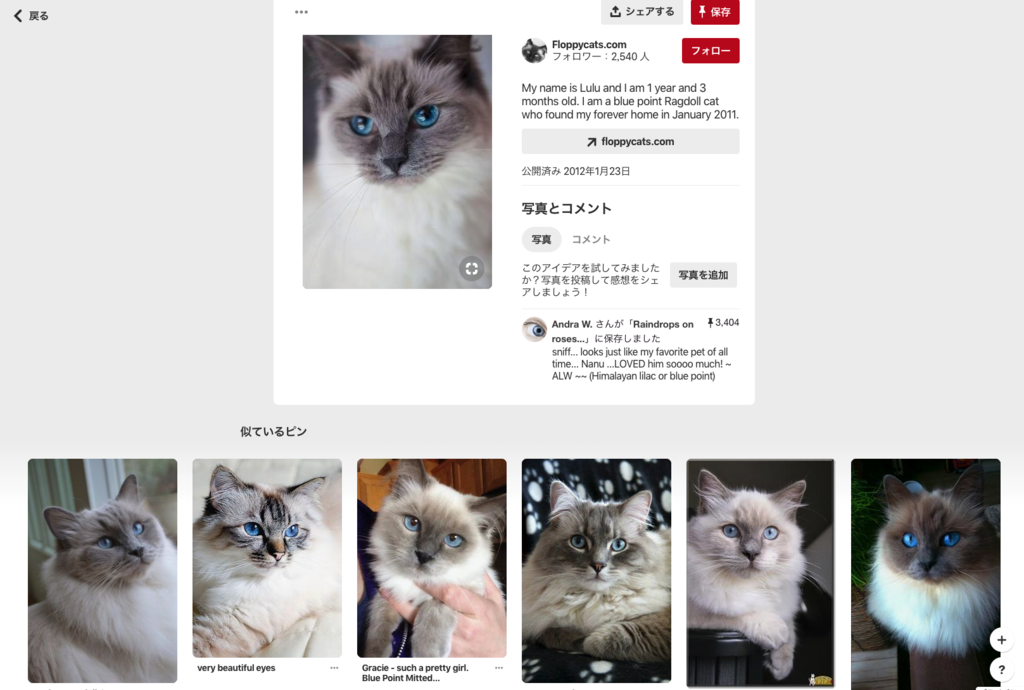 Pinterest 似ているピン