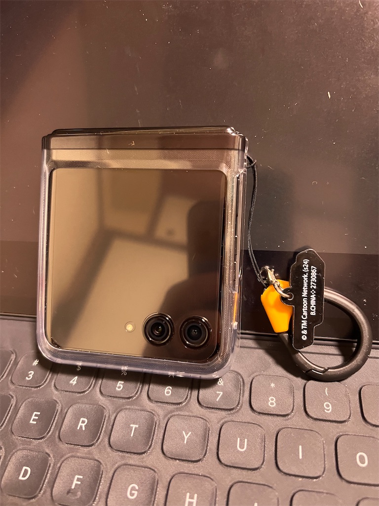 Libero Flip ゴールド 専用ケース付き （Libero Flip」を2月29日