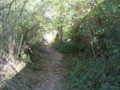 20090915184522
