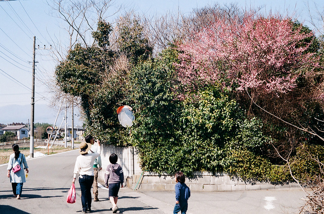 f:id:dekigotogoto:20110414163748j:image