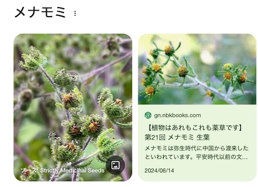 f:id:dekochanya:20250606165226j:image