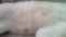 20100706202407