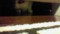 20120301131248