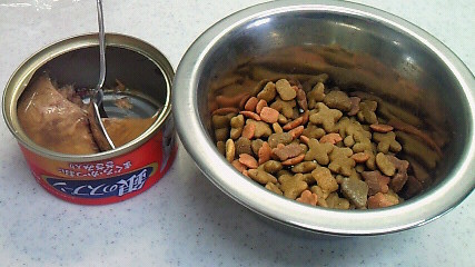 20120430095210