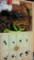 いただきました