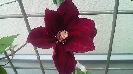 20120511221154