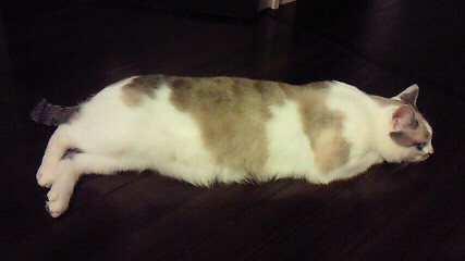 20120803090707