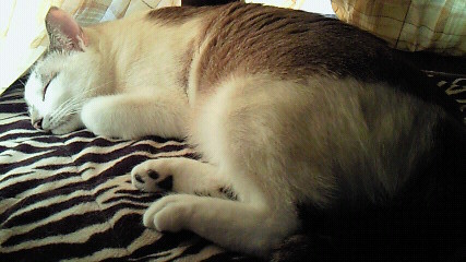 20121229173604